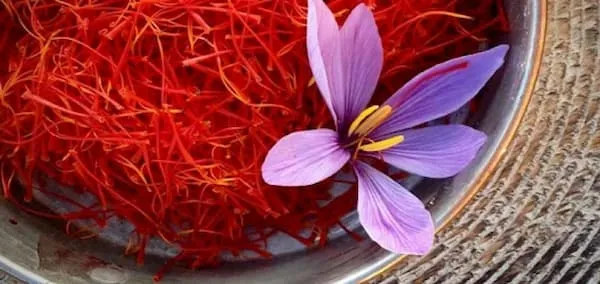 خرید جدیدترین انواع زعفران کادویی شیک